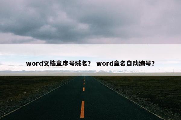 word文档章序号域名？ word章名自动编号？
