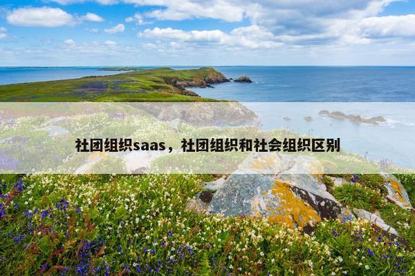 社团组织saas，社团组织和社会组织区别