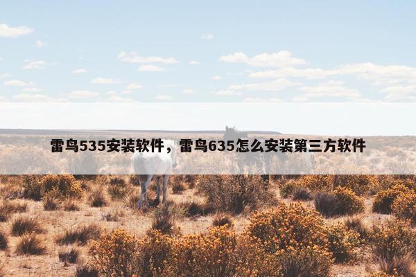 雷鸟535安装软件，雷鸟635怎么安装第三方软件
