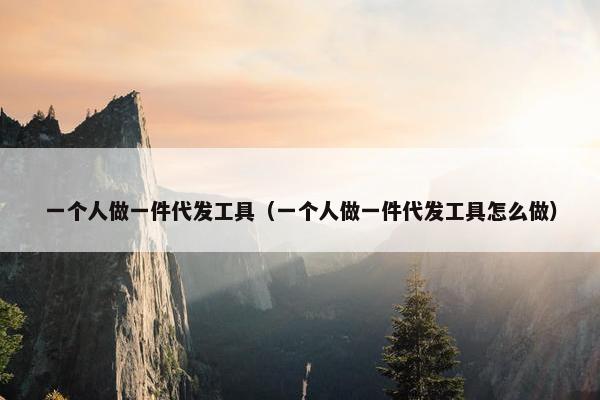 一个人做一件代发工具（一个人做一件代发工具怎么做）
