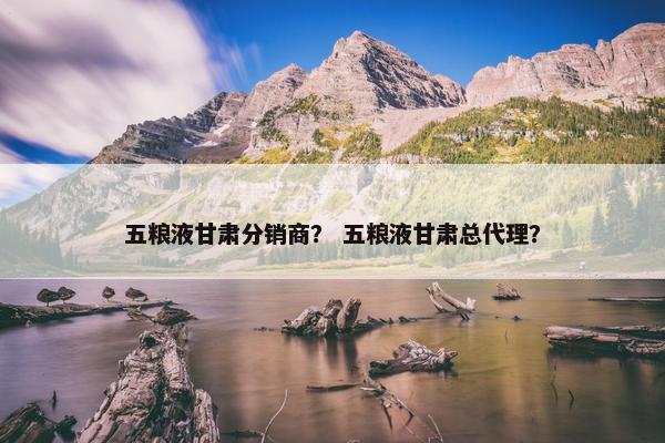 五粮液甘肃分销商？ 五粮液甘肃总代理？