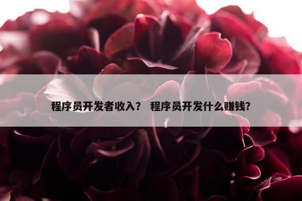 程序员开发者收入？ 程序员开发什么赚钱？
