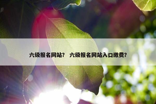 六级报名网站？ 六级报名网站入口缴费？