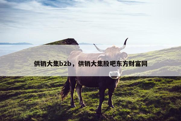 供销大集b2b，供销大集股吧东方财富网