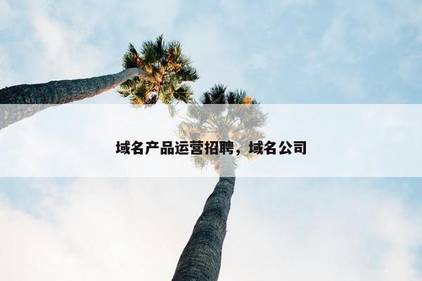 域名产品运营招聘，域名公司