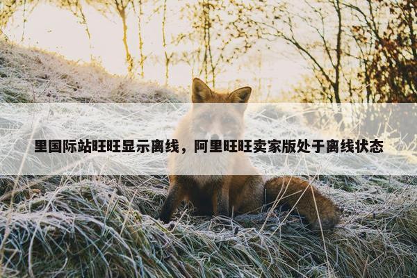 里国际站旺旺显示离线，阿里旺旺卖家版处于离线状态