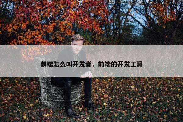 前端怎么叫开发者，前端的开发工具