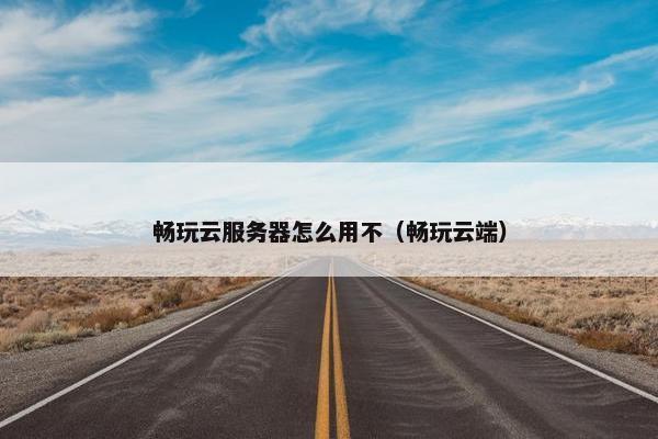 畅玩云服务器怎么用不（畅玩云端）