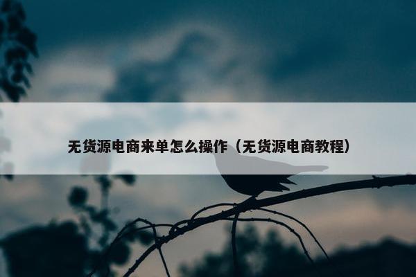 无货源电商来单怎么操作（无货源电商教程）