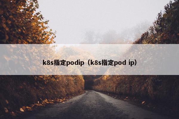 k8s指定podip（k8s指定pod ip）