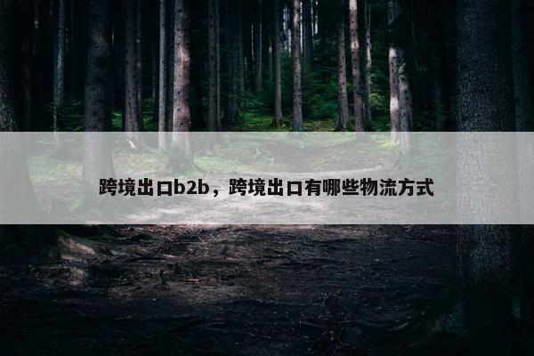 跨境出口b2b，跨境出口有哪些物流方式