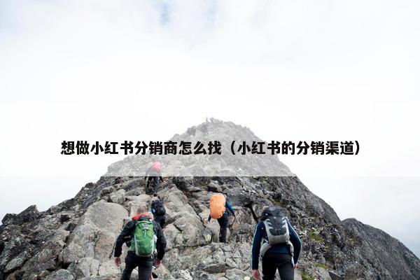 想做小红书分销商怎么找（小红书的分销渠道）