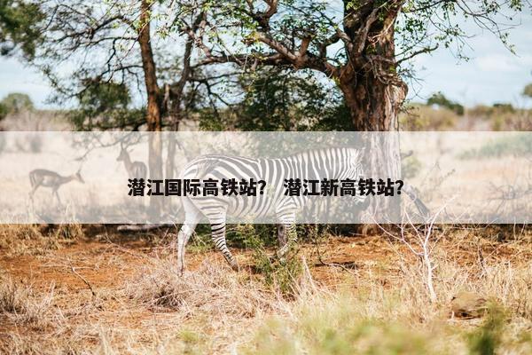 潜江国际高铁站？ 潜江新高铁站？