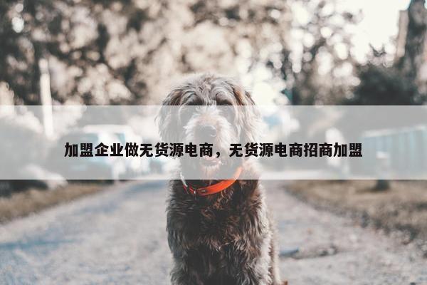 加盟企业做无货源电商，无货源电商招商加盟