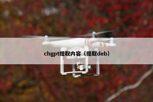chgpt提取内容（提取deb）