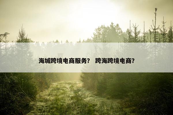 海城跨境电商服务？ 跨海跨境电商？