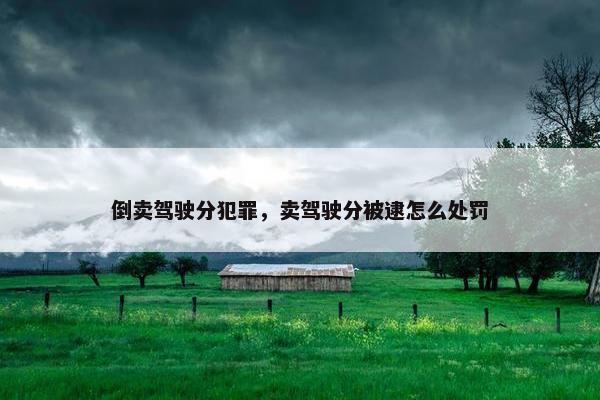 倒卖驾驶分犯罪，卖驾驶分被逮怎么处罚