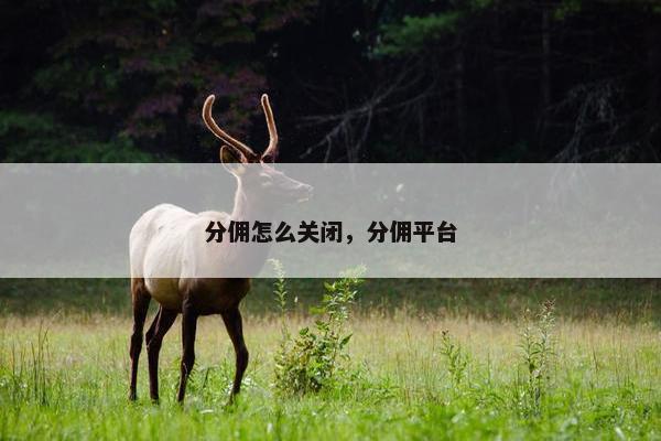 分佣怎么关闭，分佣平台