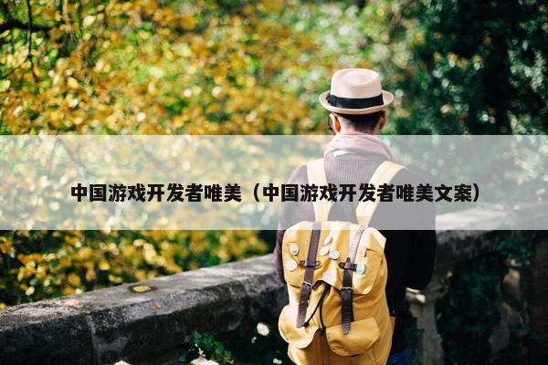 中国游戏开发者唯美（中国游戏开发者唯美文案）