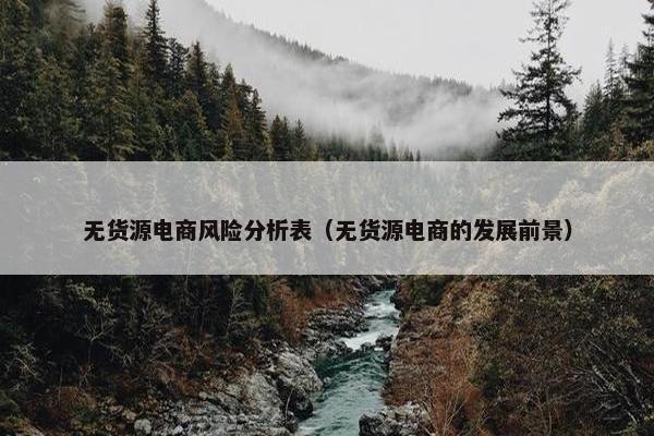 无货源电商风险分析表（无货源电商的发展前景）