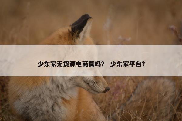 少东家无货源电商真吗？ 少东家平台？