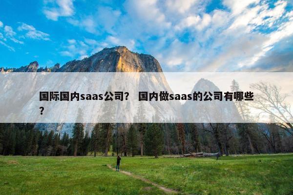 国际国内saas公司？ 国内做saas的公司有哪些？