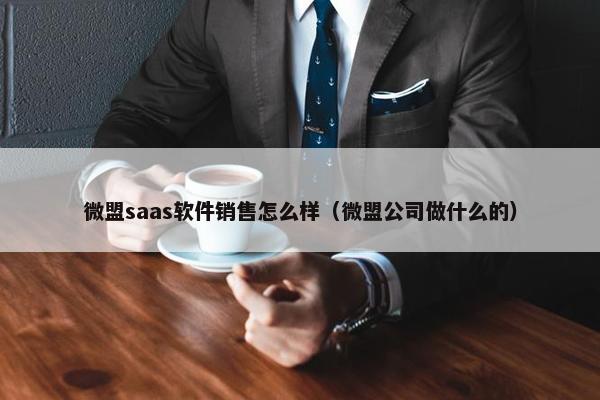 微盟saas软件销售怎么样（微盟公司做什么的）