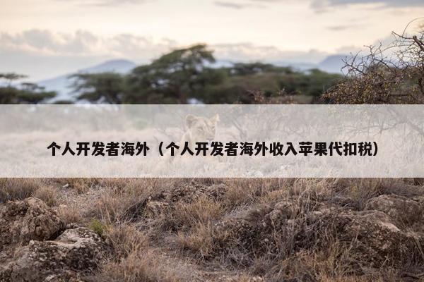 个人开发者海外（个人开发者海外收入苹果代扣税）