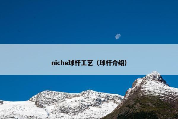 niche球杆工艺（球杆介绍）