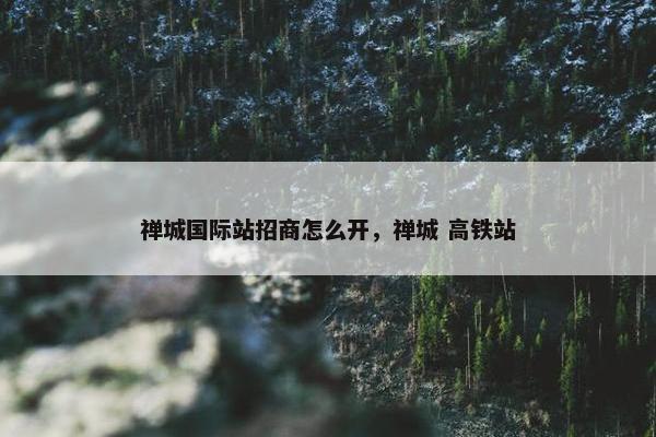 禅城国际站招商怎么开，禅城 高铁站