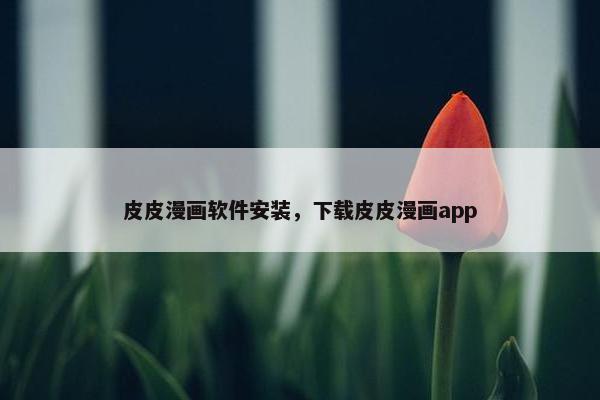 皮皮漫画软件安装，下载皮皮漫画app