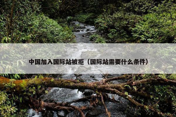 中国加入国际站被拒（国际站需要什么条件）