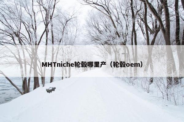 MHTniche轮毂哪里产（轮毂oem）