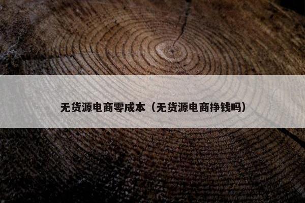 无货源电商零成本（无货源电商挣钱吗）