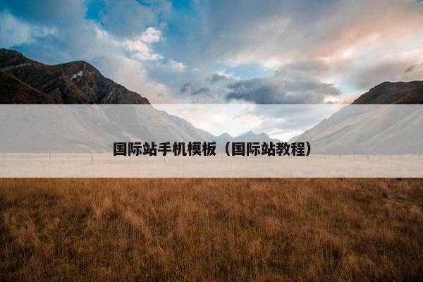 国际站手机模板（国际站教程）