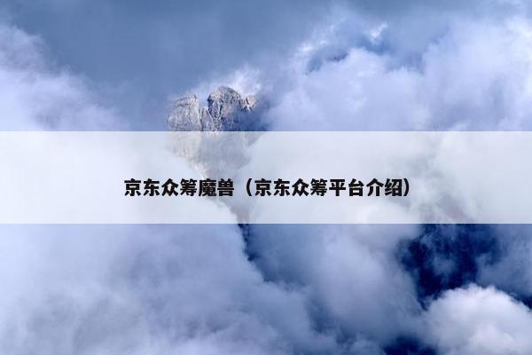 京东众筹魔兽（京东众筹平台介绍）