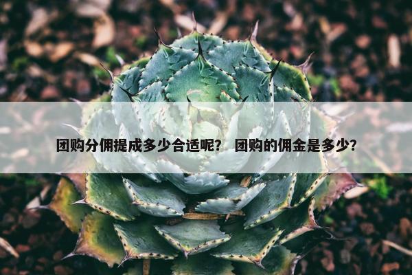 团购分佣提成多少合适呢？ 团购的佣金是多少？