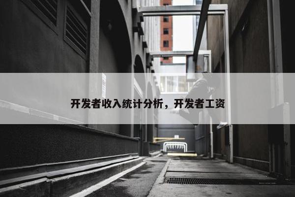 开发者收入统计分析，开发者工资