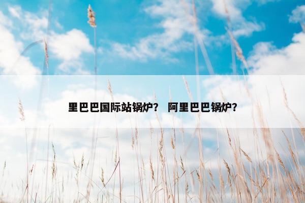 里巴巴国际站锅炉？ 阿里巴巴锅炉？