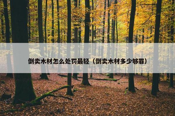 倒卖木材怎么处罚最轻（倒卖木材多少够罪）