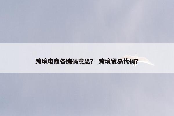 跨境电商各编码意思？ 跨境贸易代码？