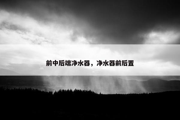 前中后端净水器，净水器前后置