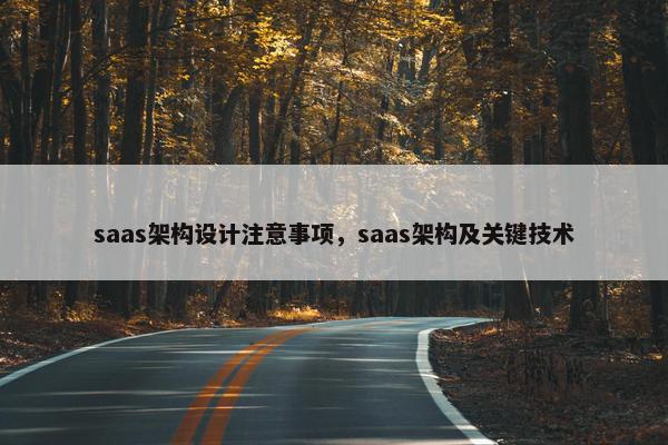 saas架构设计注意事项，saas架构及关键技术