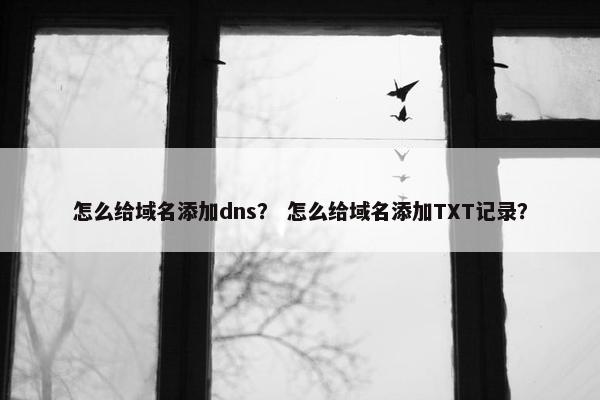怎么给域名添加dns？ 怎么给域名添加TXT记录？