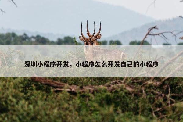 深圳小程序开发，小程序怎么开发自己的小程序