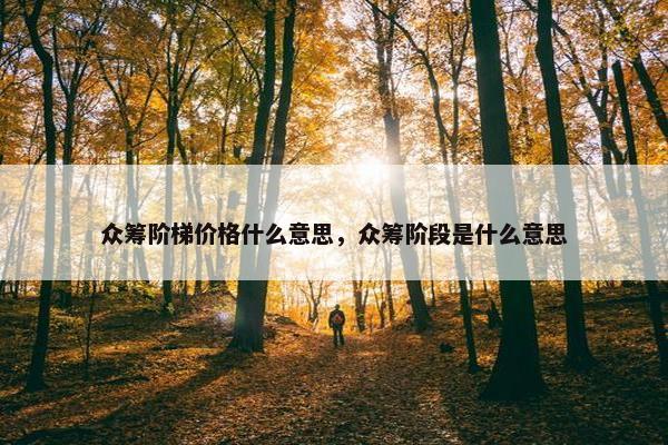 众筹阶梯价格什么意思，众筹阶段是什么意思