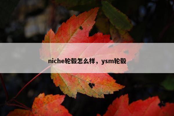 niche轮毂怎么样，ysm轮毂