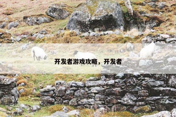 开发者游戏攻略，开发者