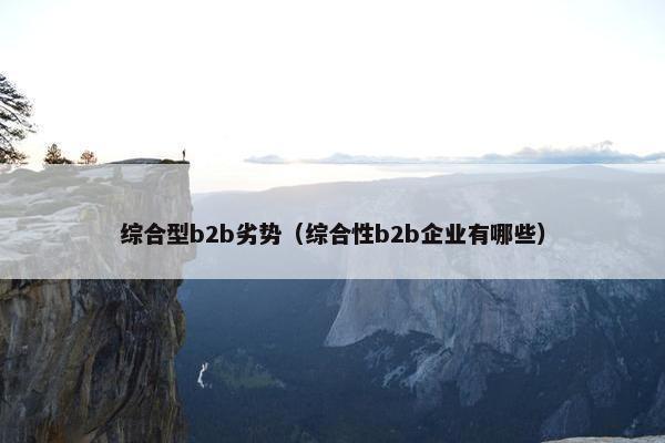 综合型b2b劣势（综合性b2b企业有哪些）