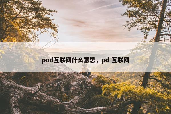 pod互联网什么意思，pd 互联网